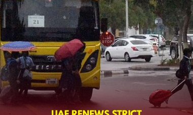 UAE Authorities Reinforce Warnings on School Zone Traffic Violations