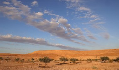 Saudi Arabia Launches Landmark Initiative to Fight Desertification and Drought