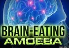Brain-Eating Amoeba Scare: Kerala on High Alert After 17 Deaths in 2025