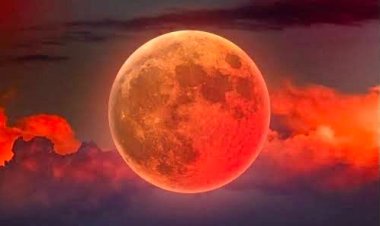 Bahrain’s Blood Moon Spectacle: Stargazing Evening at Adliya