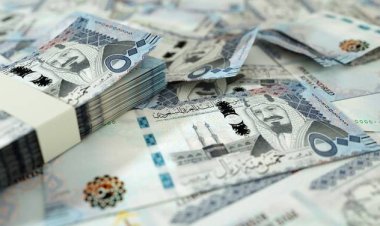 Gulf Central Banks’ Net Foreign Assets Reach $761.9 Billion Amid Strong Monetary Growth in 2024