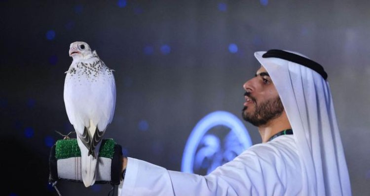 Abu Dhabi Gears Up for Expanded ADIHEX 2025 Featuring Falcons, Camels, Culture, and Cutting-Edge Tech