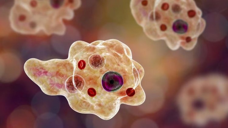 Brain-Eating Amoeba Scare: Kerala on High Alert After 17 Deaths in 2025