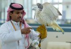 Falcons Sold for SR428,000 at Saudi Falcons Exhibition