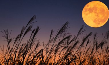 Super Harvest Moon to Light Up Bahrain’s Night Sky on Monday