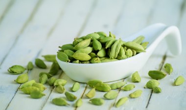 Eat, Chew, Refresh: Why Cardamom Deserves a Spot in Your Daily Routine