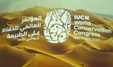 Landmark Achievements at Abu Dhabi’s World Conservation Congress 2025