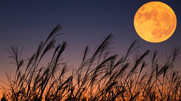 Super Harvest Moon to Light Up Bahrain’s Night Sky on Monday