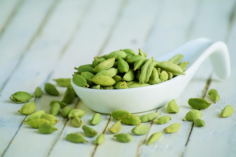 Eat, Chew, Refresh: Why Cardamom Deserves a Spot in Your Daily Routine