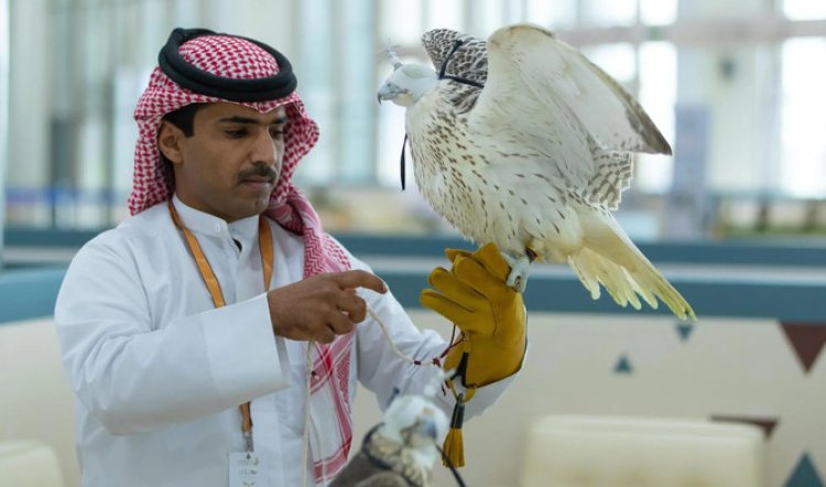 Falcons Sold for SR428,000 at Saudi Falcons Exhibition