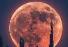 Where to Watch the Beaver Supermoon in the UAE Tomorrow