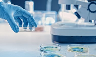 Japanese Scientists Discover Key Protein That Could Help Slow Down Aging