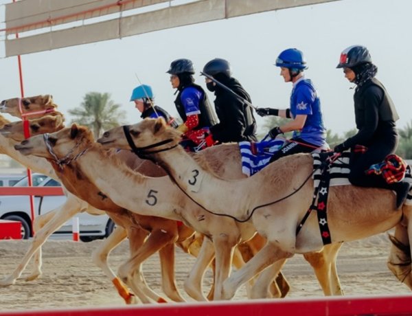Racing Beyond Tradition: How the C1 Championship Is Redefining Camel Racing