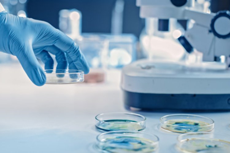 Japanese Scientists Discover Key Protein That Could Help Slow Down Aging