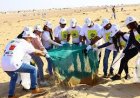 ‘A National Movement’: Over 90,000 Volunteers Unite for UAE Desert Clean-Up