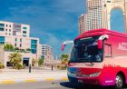 Abu Dhabi Launches Free Shuttle Between Al Wahda Mall and Emirates Park Zoo & Resort