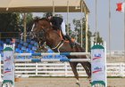 Bahrain: MOI Showjumping Team Wins First Place in National Day Championship