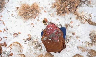 Snow Blankets Saudi Arabia’s Trojena Highlands and Tabuk