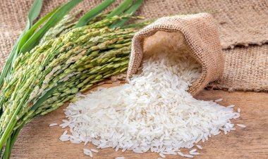Bahrain Ranks Lowest in Total Rice Consumption Among Arab Nations