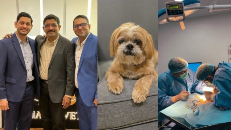 Bahrain Marks Milestone With First-Ever Pet Cataract Surgery