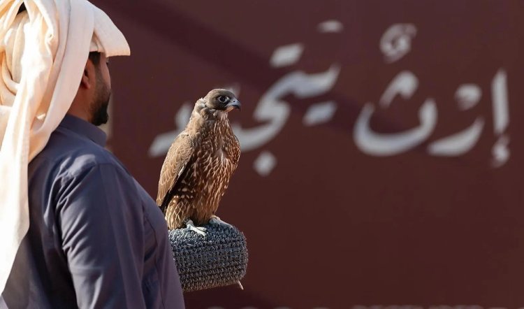 Saudi Arabia: King Abdulaziz Falconry Festival 2025 Launches With Falconers From Nine Countries