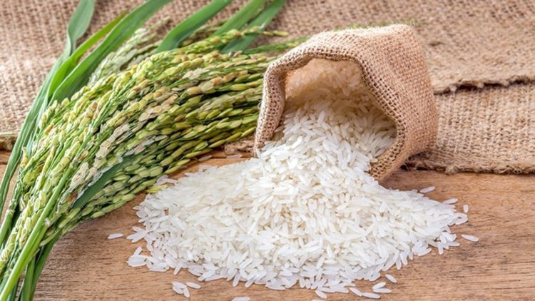 Bahrain Ranks Lowest in Total Rice Consumption Among Arab Nations