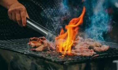 Al Ain bans barbecuing at Jebel Hafeet parking areas to reduce fire and environmental risks