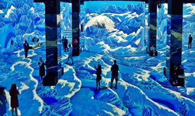 Arte Museum Dubai: A Multisensory Art Experience