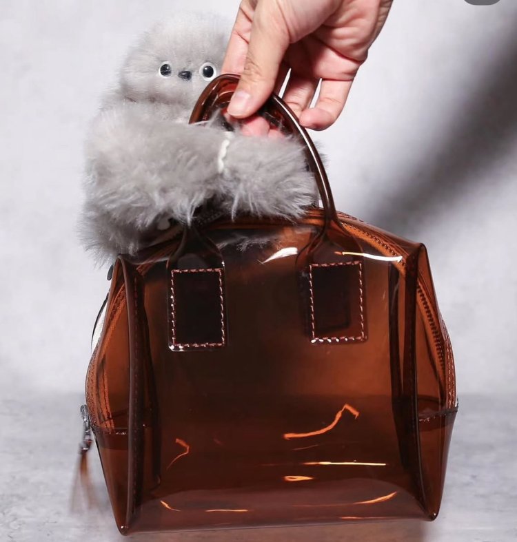 Move Over Labubu: Meet Mirumi, the Adorable Emotional Robot Taking Over Bags
