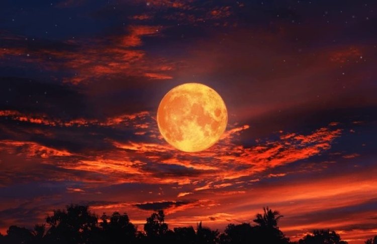 Blood Moon to light up global skies during rare total lunar eclipse on March 3