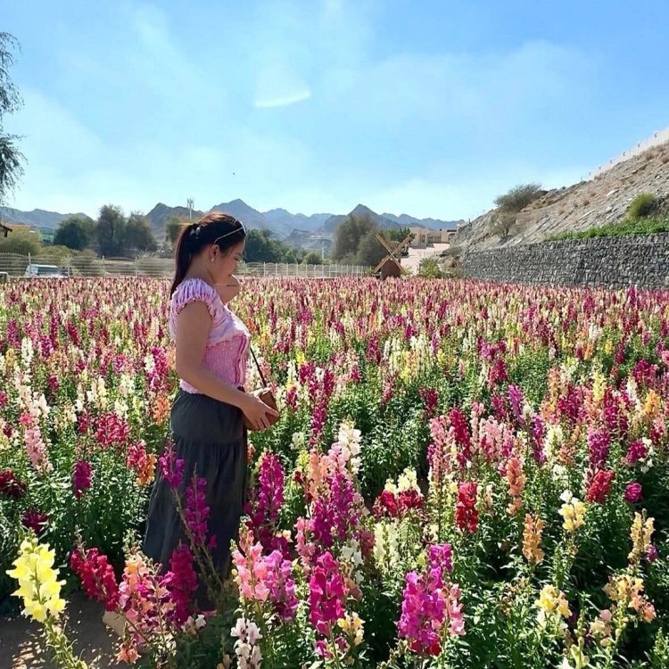 Ras Al Khaimah Flower Farm Wins UAE’s Top Agricultural Award