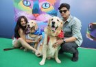 Bahrain’s biggest pet festival returns this February in Hidd