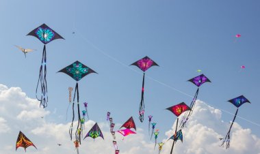 Bahrain National Action Charter Day Kite Festival Soars High in 2026