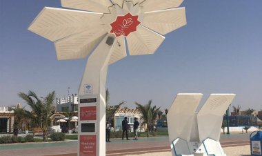 Dubai rolls out solar-powered Smart Palms across public spaces