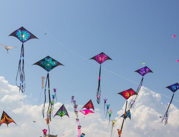 Bahrain National Action Charter Day Kite Festival Soars High in 2026