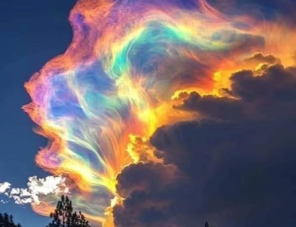 Rare ‘fire rainbow’ lights up skies over New Zealand’s Nelson region
