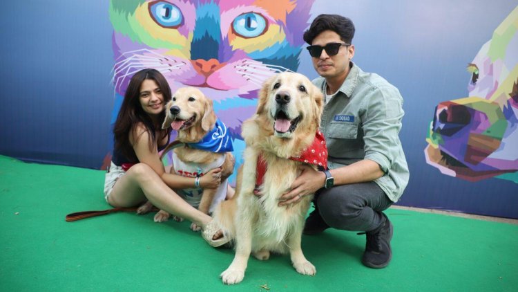 Bahrain’s biggest pet festival returns this February in Hidd