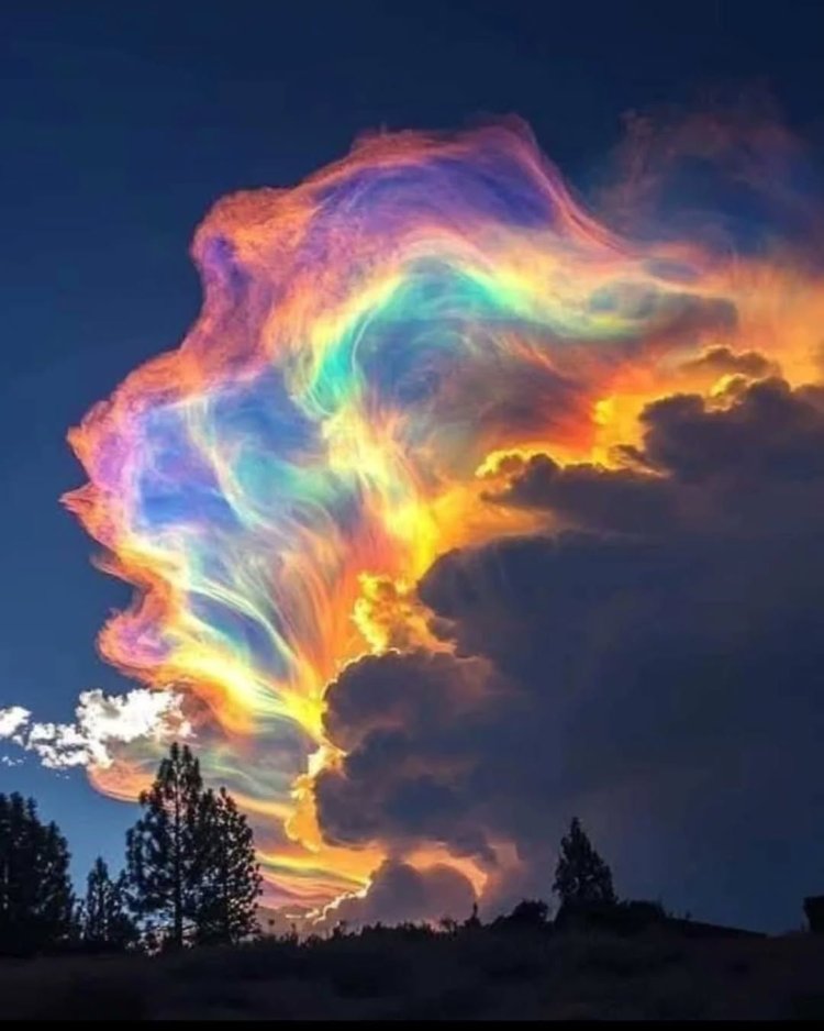 Rare ‘fire rainbow’ lights up skies over New Zealand’s Nelson region