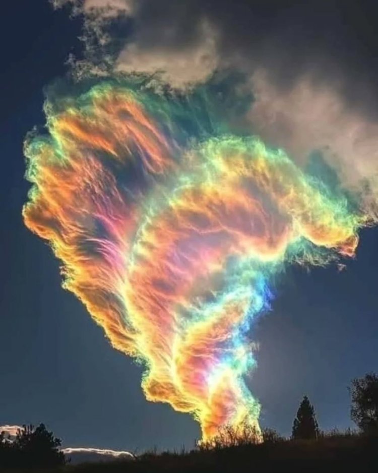 Rare ‘fire rainbow’ lights up skies over New Zealand’s Nelson region