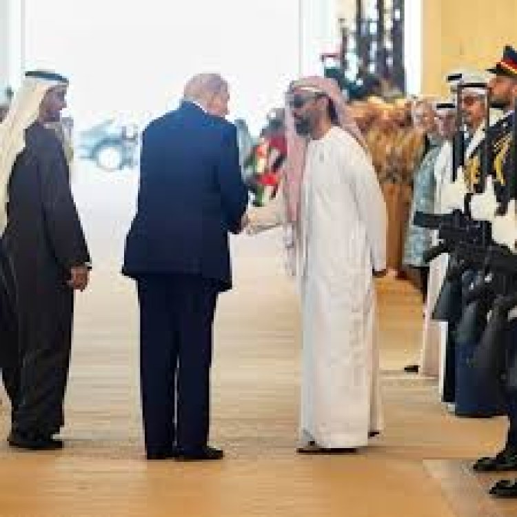 Sheikh Tahnoon acquires 49% stake in World Liberty Financial in $500m deal