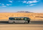 Road transfer launched for stranded UAE travellers via Muscat