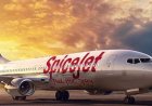 SpiceJet schedules special flights from UAE to India to help stranded travellers