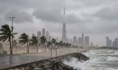 Emirates issues weather advisory for Dubai departures amid expected delays