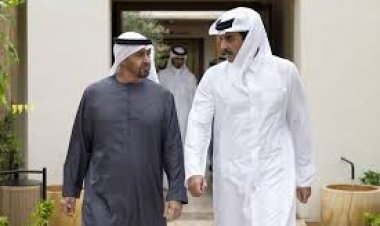 Qatar Amir, UAE president discuss regional developments, stress joint coordination