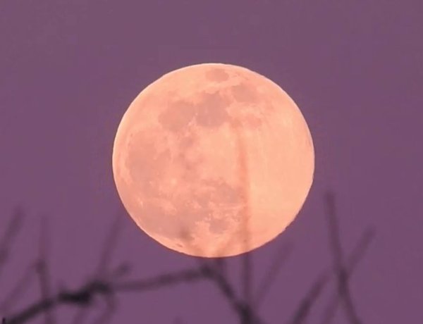 Pink Full Moon to shine over Bahrain skies on April 1–2