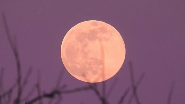 Pink Full Moon to shine over Bahrain skies on April 1–2