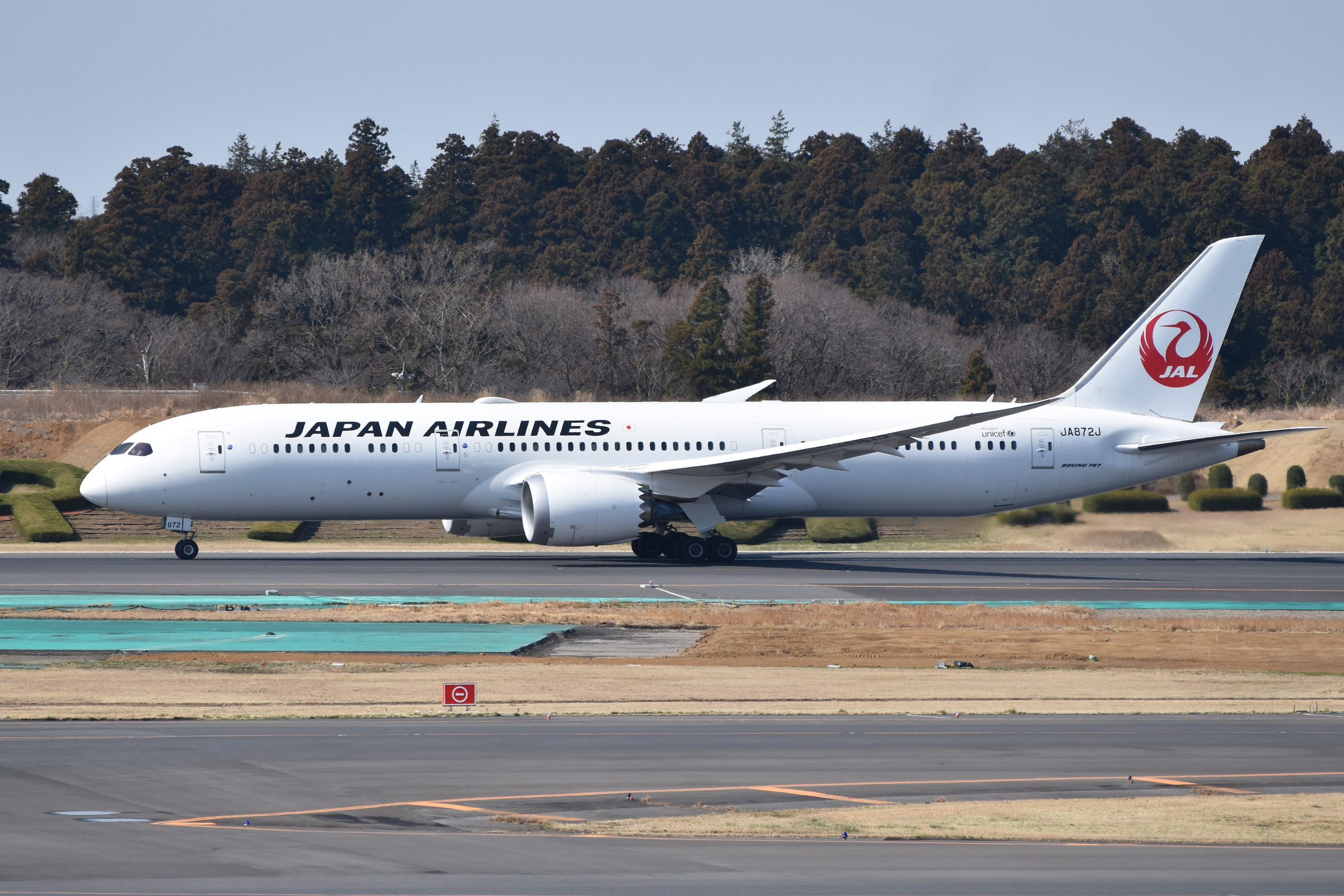 Japan Airlines Boeing 787-9 JA872J at Narita Airport on 17 March 2019