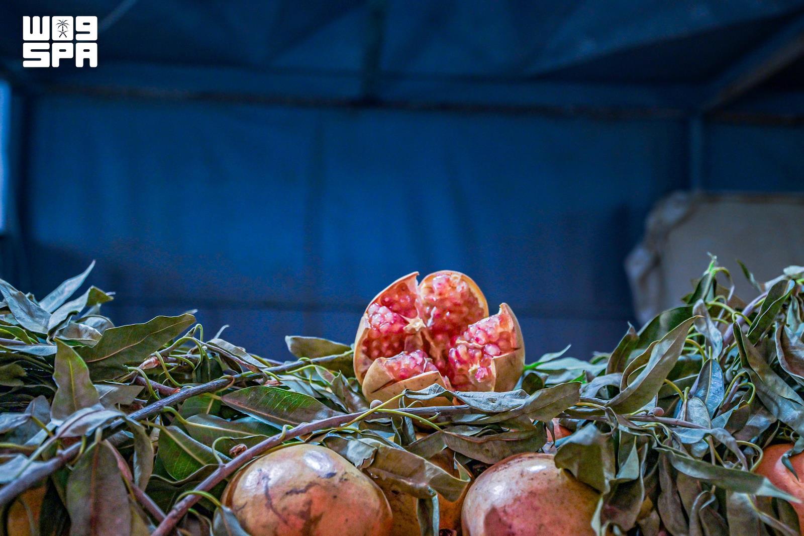 Fresh pomegranates gathered during the Al-Baha harvest