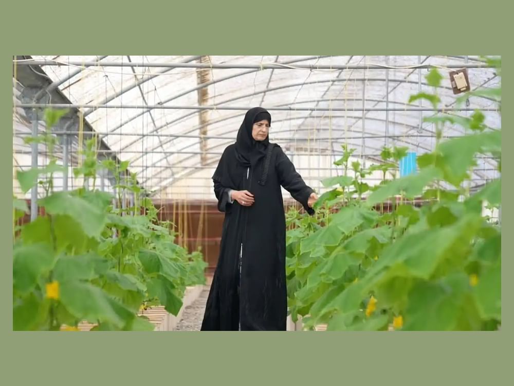 Emirati farmer Khadija Darwish Al Qubaisi tending plants in a greenhouse.